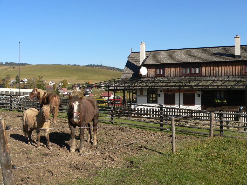 Velké Borové,farma(bufet Goral)