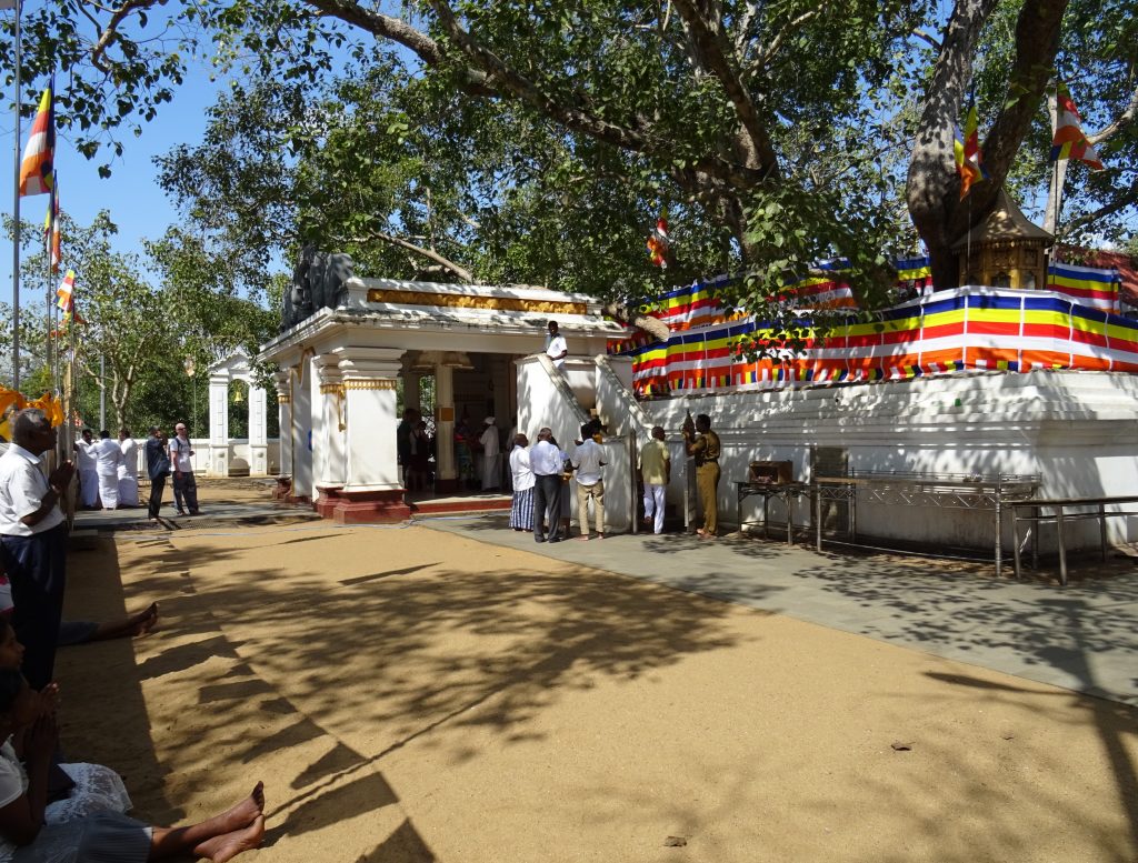 Anuradhapura,Jaya Sri Maha Bodhi