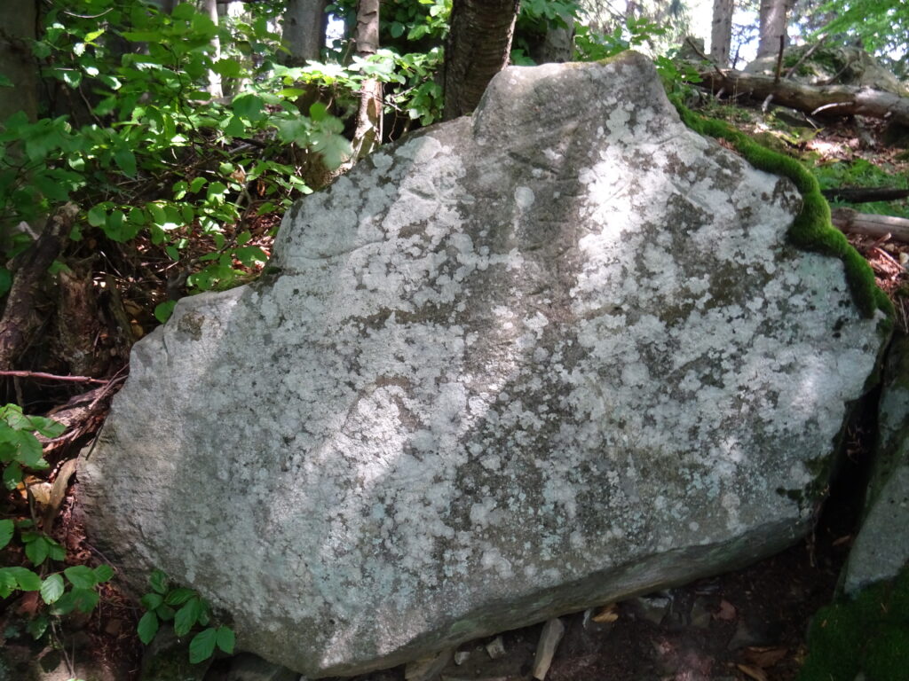 Orgoňovy kameny (kámen s runami)