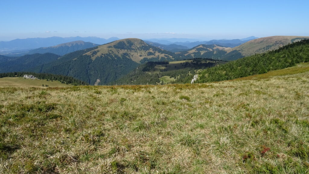 Suchý vrch (1550m), výhled na Borišov a Ploskou