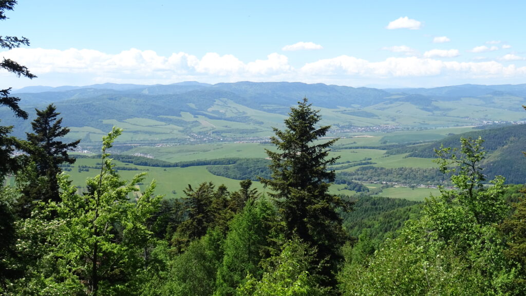 vrch Balážová (860m), výhled