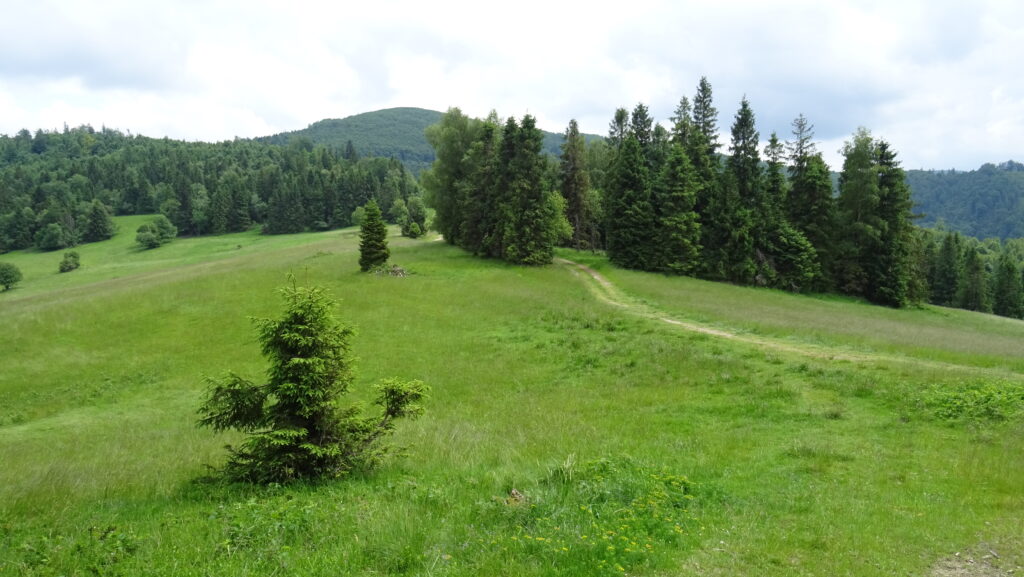 Moravské, v pozadí Kykuľa (1087m)