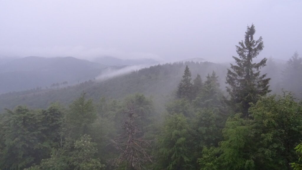 Velká Rača (1236 m), chata Wielka Racza, (ne)výhled