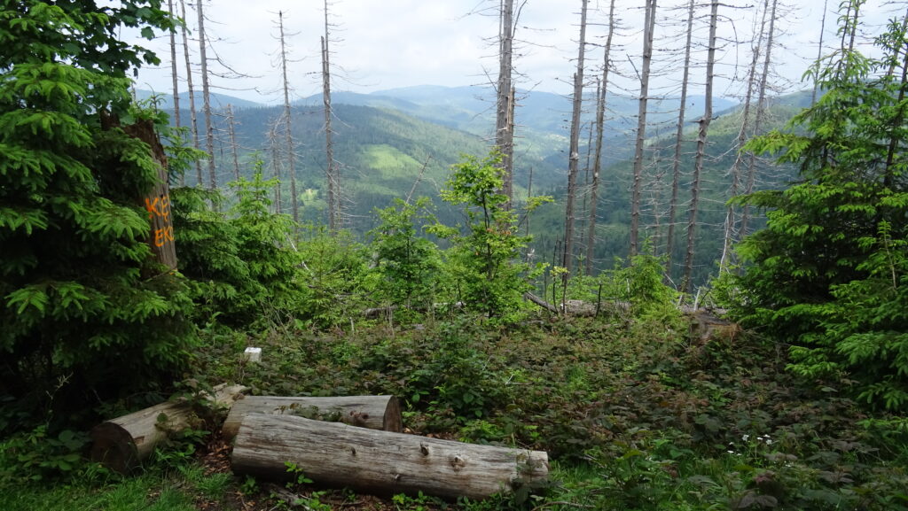 Kykula (1105 m), vyhlídka