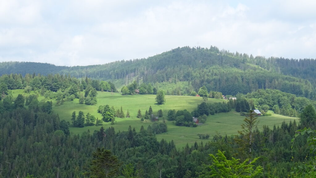 Przegibek, v pozadí Bendoszka Wielka (1144m)