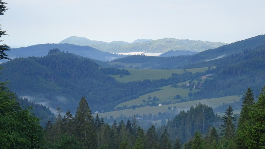 sedlo Príslop (942m), výhled na Malou Fatru